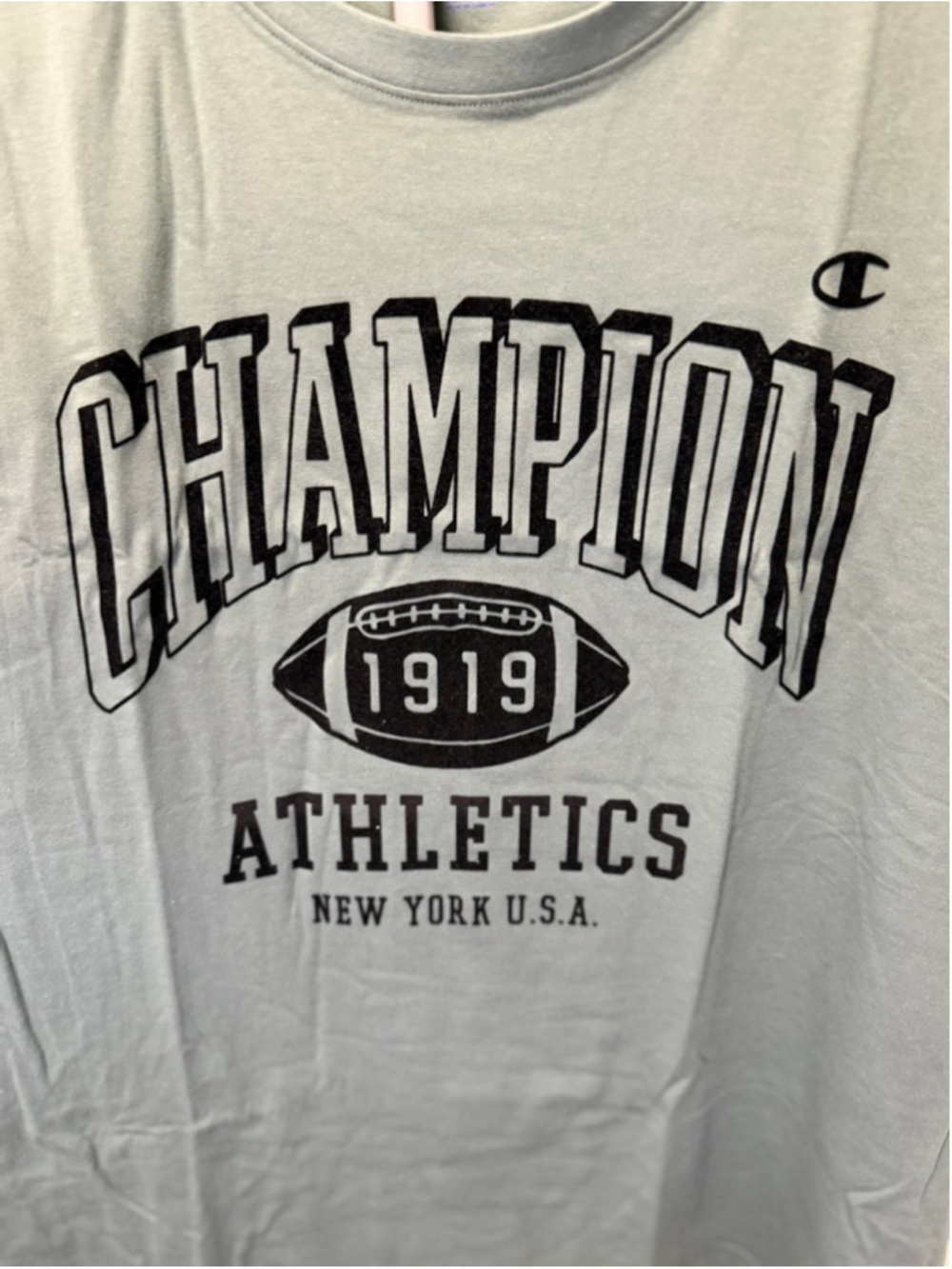 Champion Men’s Graphic T-Shirt Dark Forest Green 4XL NWT Cotton Short Sleeve - Picture 3 of 10